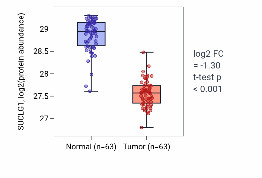 Tumor-vs-normal mass-spec protein box plot for SUCLG1 in CCRCC.