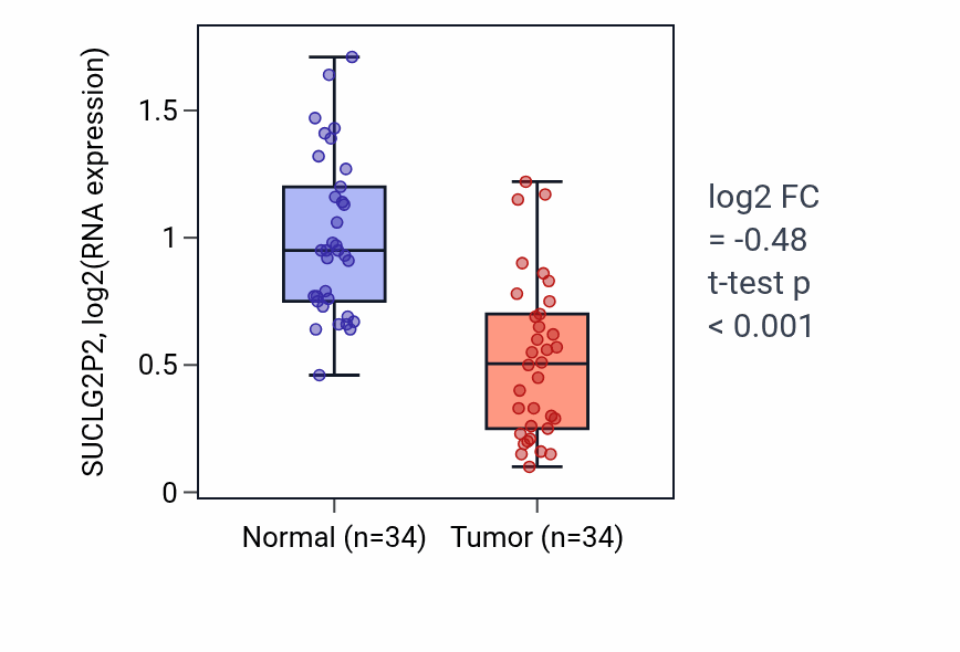 Tumor-vs-normal expression box plot for SUCLG2P2 in KIRC.