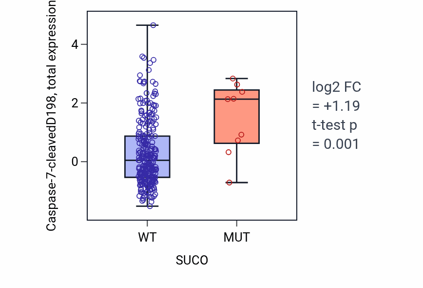 Box plot of Caspase-7-cleavedD198 in SUCO-low vs SUCO-high samples in STAD.