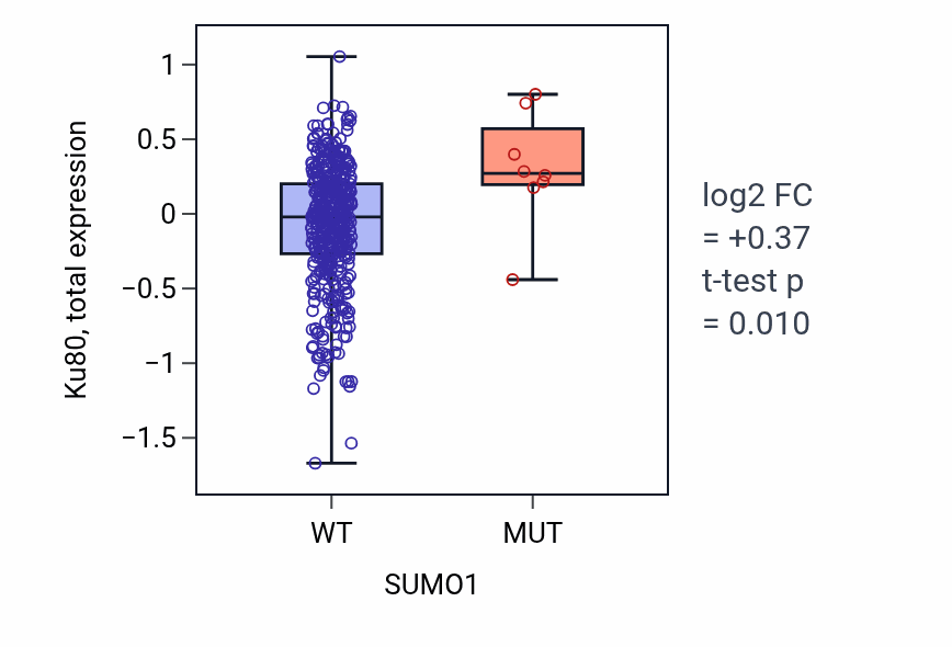 Box plot of Ku80 in SUMO1-low vs SUMO1-high samples in UCEC.
