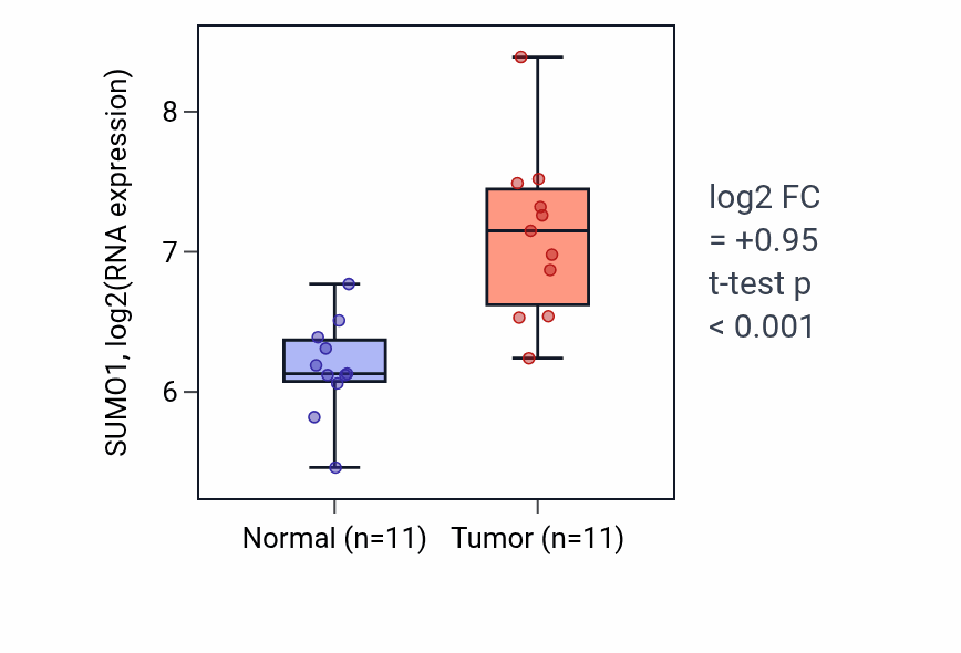 Tumor-vs-normal expression box plot for SUMO1 RNA in HNSC.