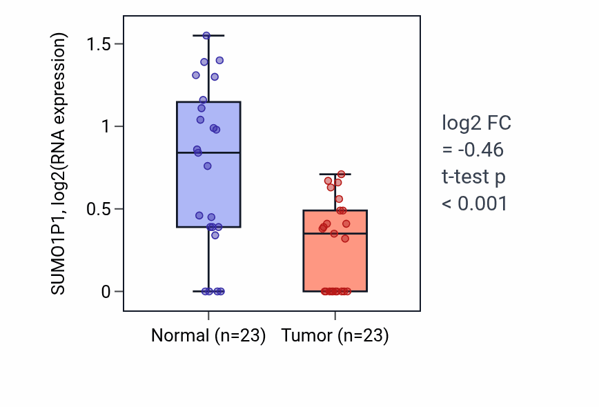 Tumor-vs-normal expression box plot for SUMO1P1 RNA in LUAD.