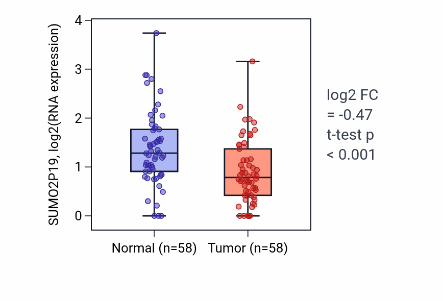 Tumor-vs-normal expression box plot for SUMO2P19 in THCA.