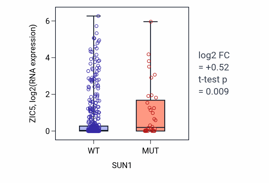 Box plot of ZIC5 in SUN1-low vs SUN1-high samples in UCEC.