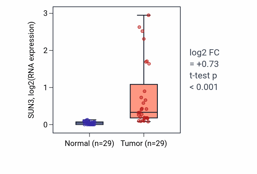Tumor-vs-normal expression box plot for SUN3 RNA in HNSC.