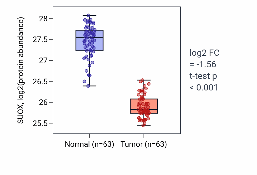 Tumor-vs-normal mass-spec protein box plot for SUOX in CCRCC.