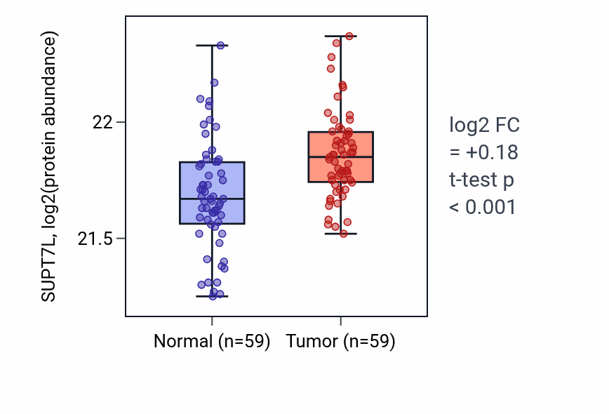 Tumor-vs-normal mass-spec protein box plot for SUPT7L in LSCC.