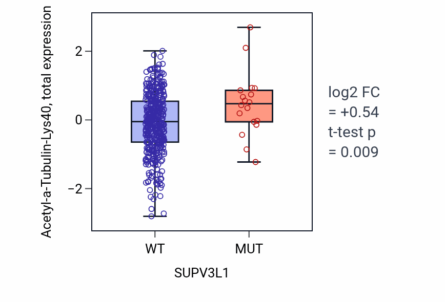 Box plot of Acetyl-a-Tubulin-Lys40 in SUPV3L1-low vs SUPV3L1-high samples in UCEC.