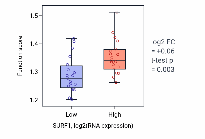 Box plot of COPII vesicle coating in SURF1-low vs SURF1-high samples in BONE.