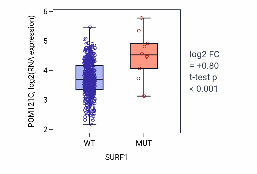 Box plot of POM121C in SURF1-low vs SURF1-high samples in UCEC.