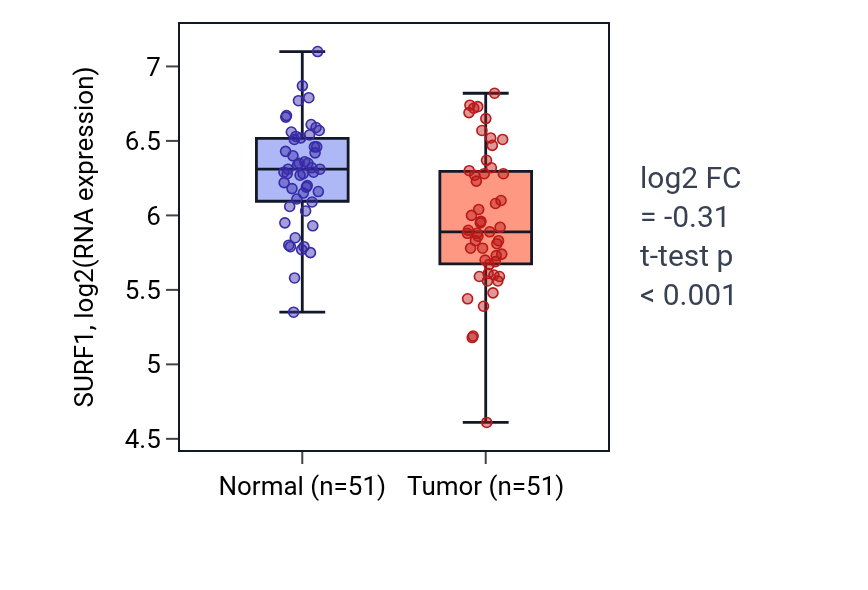 Tumor-vs-normal expression box plot for SURF1 in KIRC.
