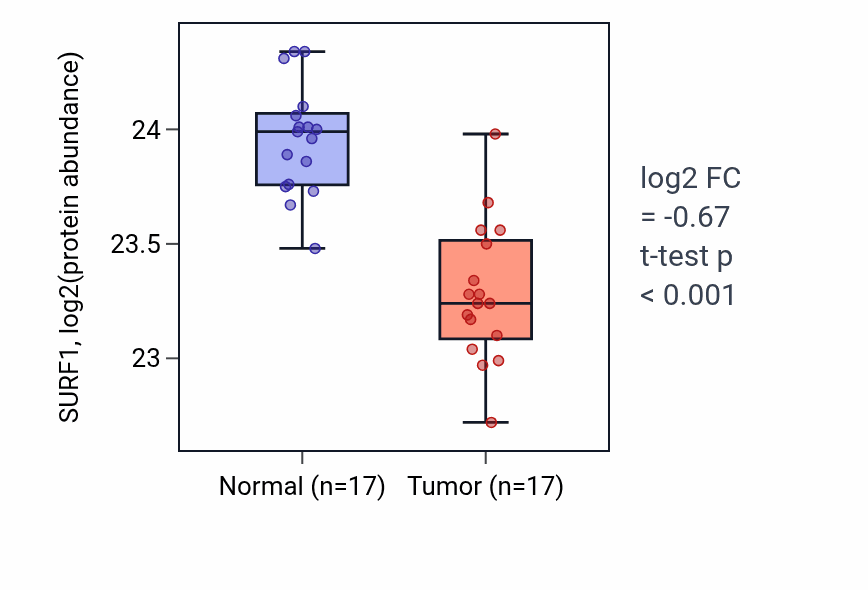 Tumor-vs-normal mass-spec protein box plot for SURF1 in CCRCC.