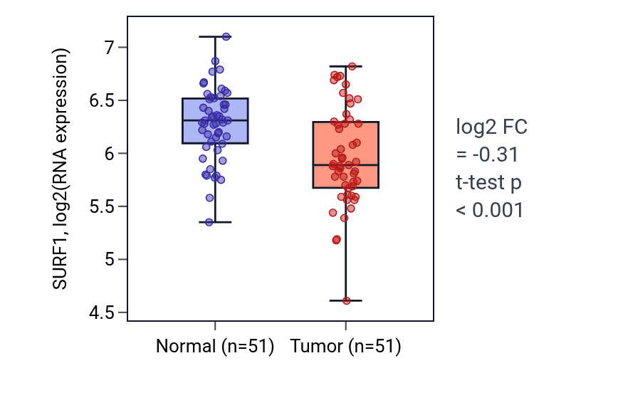 Tumor-vs-normal expression box plot for SURF1 RNA in KIRC.