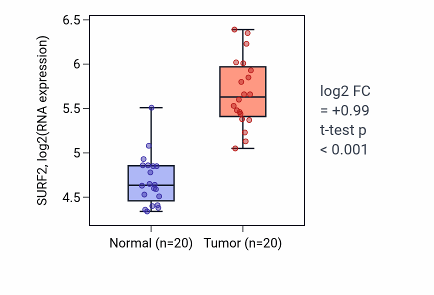 Tumor-vs-normal expression box plot for SURF2 RNA in COAD.