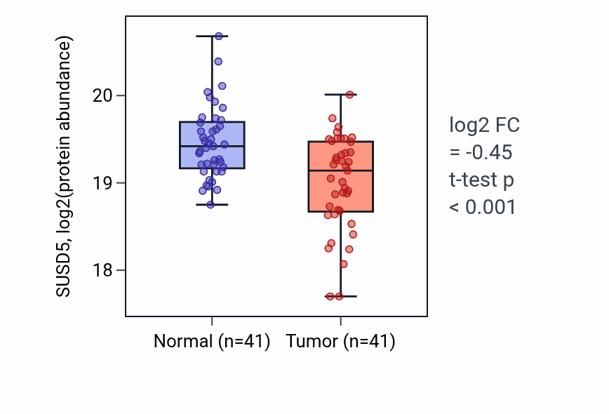 Tumor-vs-normal mass-spec protein box plot for SUSD5 in LSCC.