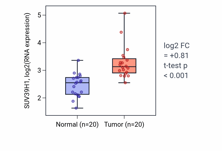Tumor-vs-normal expression box plot for SUV39H1 RNA in KIRC.