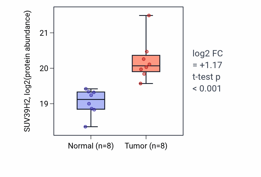 Tumor-vs-normal mass-spec protein box plot for SUV39H2 in LUAD.