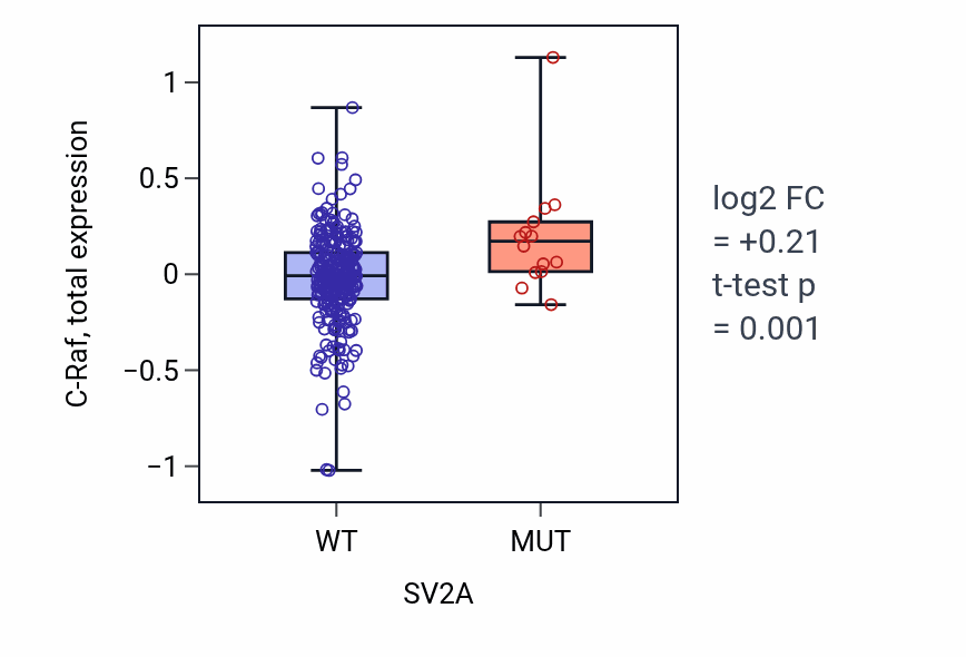Box plot of C-Raf in SV2A-low vs SV2A-high samples in STAD.