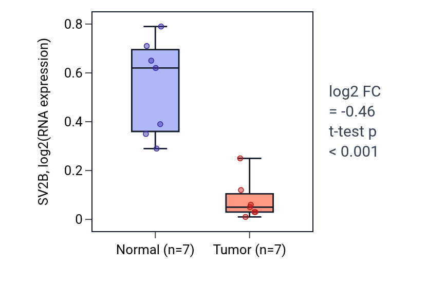 Tumor-vs-normal expression box plot for SV2B in THCA.