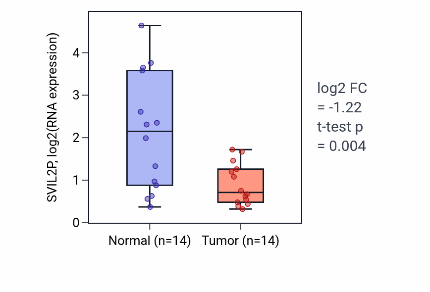 Tumor-vs-normal expression box plot for SVIL2P in BLCA.