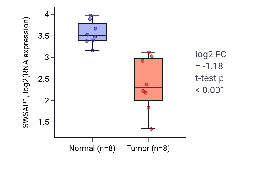 Tumor-vs-normal expression box plot for SWSAP1 RNA in KICH.