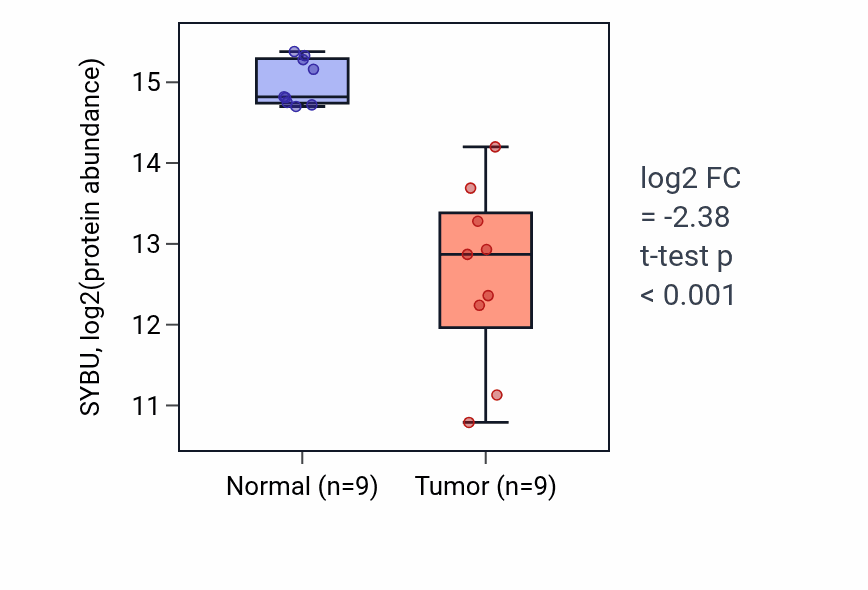 Tumor-vs-normal mass-spec protein box plot for SYBU in HNSC.