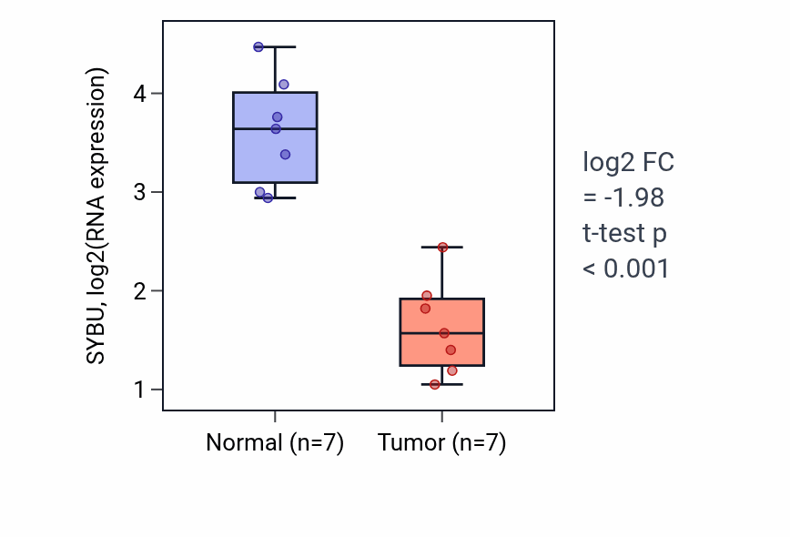 Tumor-vs-normal expression box plot for SYBU RNA in THCA.