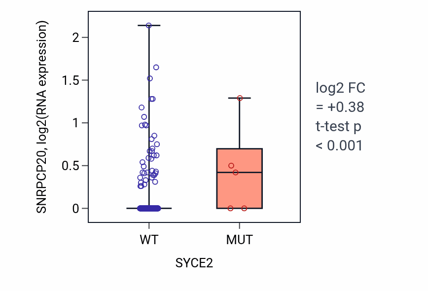 Box plot of SNRPCP20 in SYCE2-low vs SYCE2-high samples in COAD.