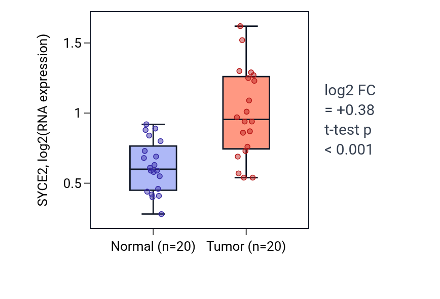 Tumor-vs-normal expression box plot for SYCE2 in KIRC.