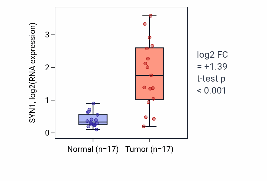 Tumor-vs-normal expression box plot for SYN1 RNA in THCA.