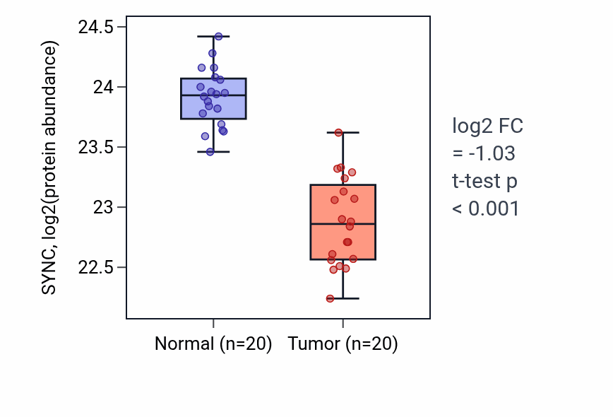 Tumor-vs-normal mass-spec protein box plot for SYNC in LSCC.