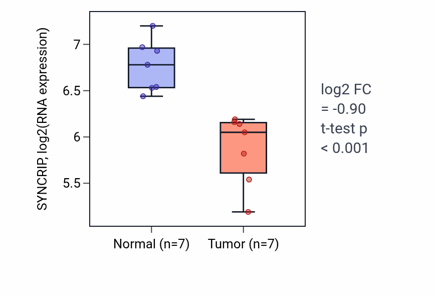 Tumor-vs-normal expression box plot for SYNCRIP RNA in THCA.