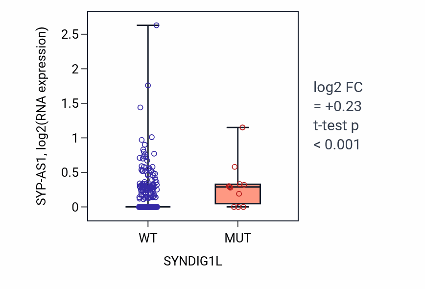 Box plot of SYP-AS1 in SYNDIG1L-low vs SYNDIG1L-high samples in UCEC.