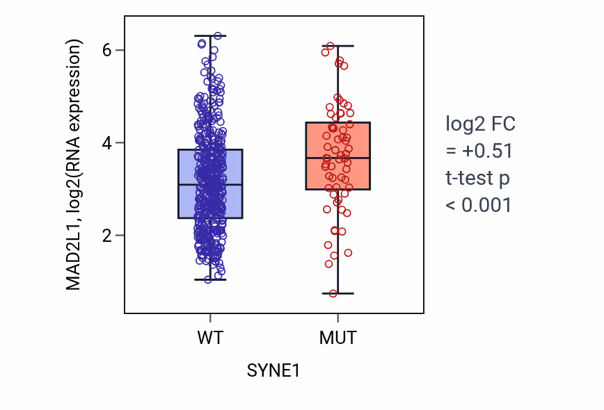 Box plot of MAD2L1 in SYNE1-low vs SYNE1-high samples in LUAD.
