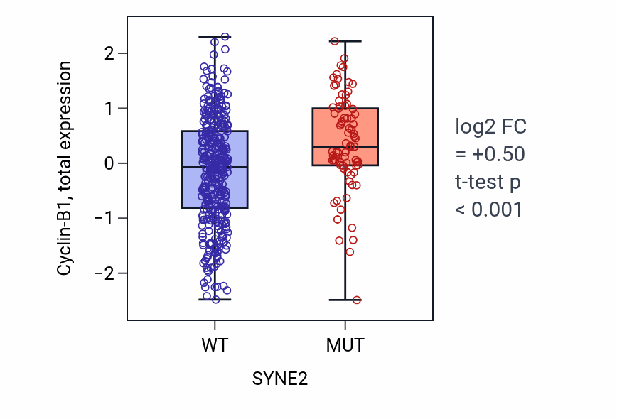 Box plot of Cyclin-B1 in SYNE2-low vs SYNE2-high samples in UCEC.