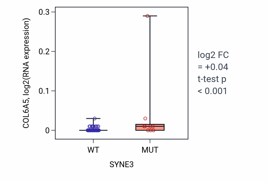 Box plot of COL6A5 in SYNE3-low vs SYNE3-high samples in LUNG_NSCLC_LUAD.