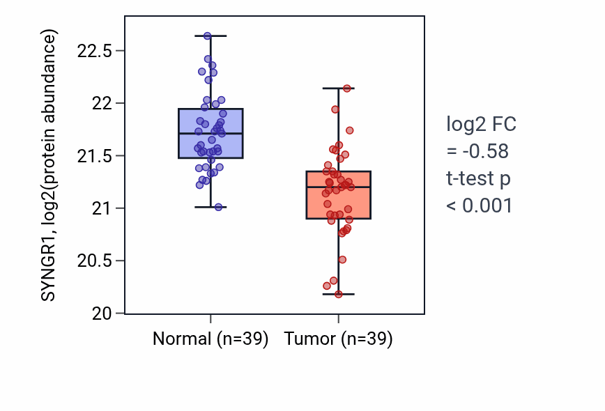 Tumor-vs-normal mass-spec protein box plot for SYNGR1 in HNSC.