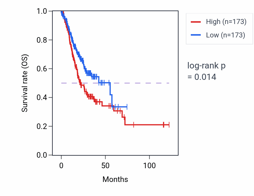 Kaplan&ndash;Meier survival curve for SYNGR1 RNA-high vs -low samples in STAD.