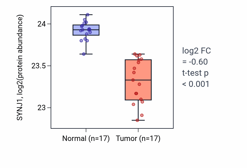 Tumor-vs-normal mass-spec protein box plot for SYNJ1 in LSCC.