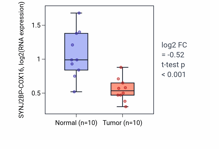Tumor-vs-normal expression box plot for SYNJ2BP-COX16 RNA in BLCA.