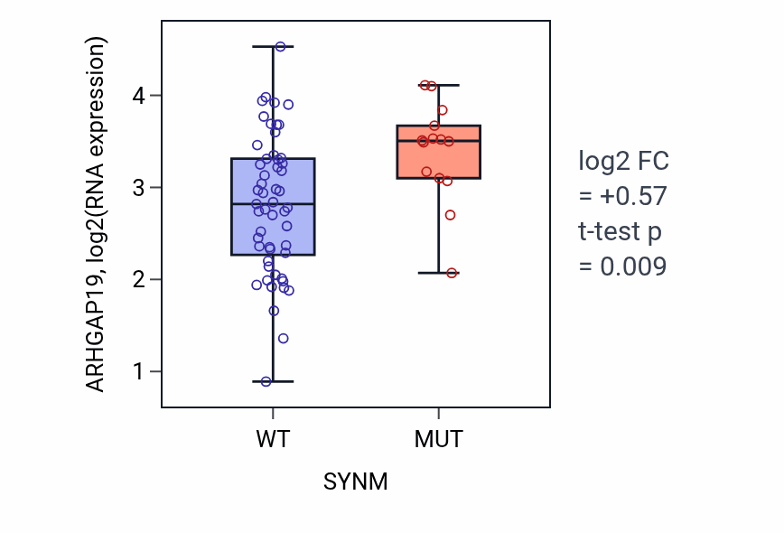 Box plot of ARHGAP19 in SYNM-low vs SYNM-high samples in LARGE_INTESTINE.