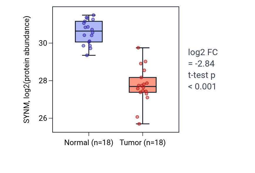 Tumor-vs-normal mass-spec protein box plot for SYNM in COAD.