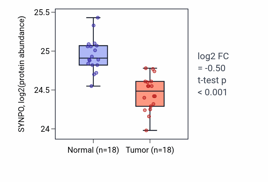 Tumor-vs-normal mass-spec protein box plot for SYNPO in COAD.