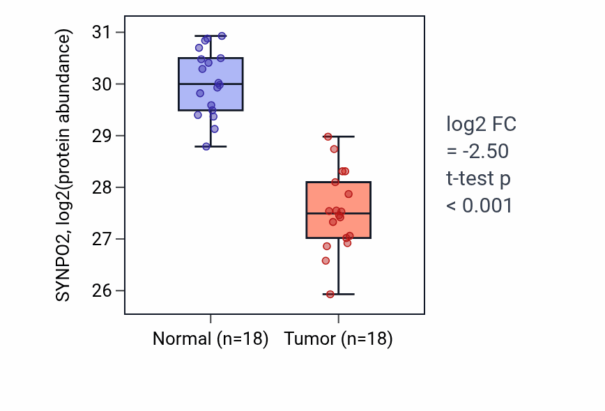 Tumor-vs-normal mass-spec protein box plot for SYNPO2 in COAD.