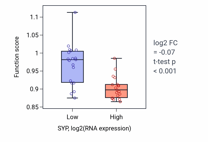 Box plot of Positive regulation of transmembrane transport in SYP-low vs SYP-high samples in BONE.