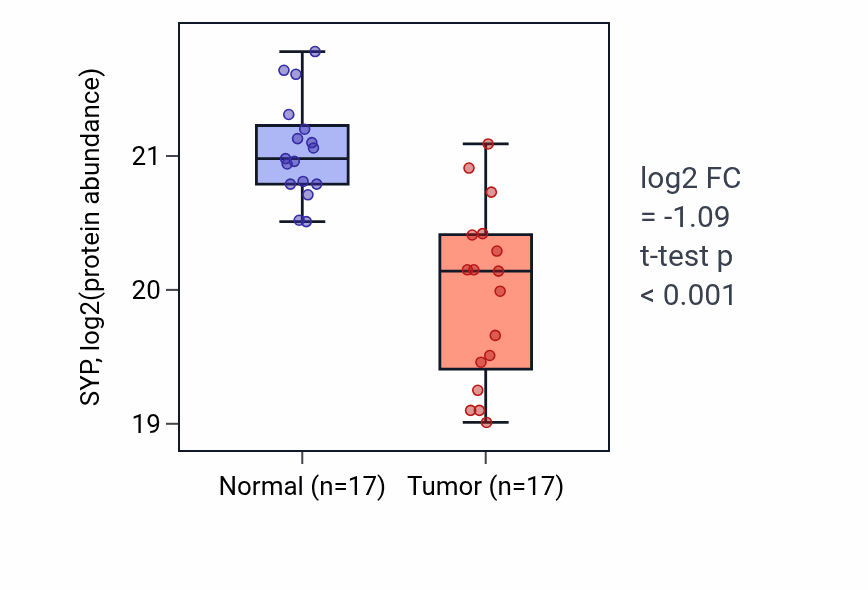 Tumor-vs-normal mass-spec protein box plot for SYP in COAD.