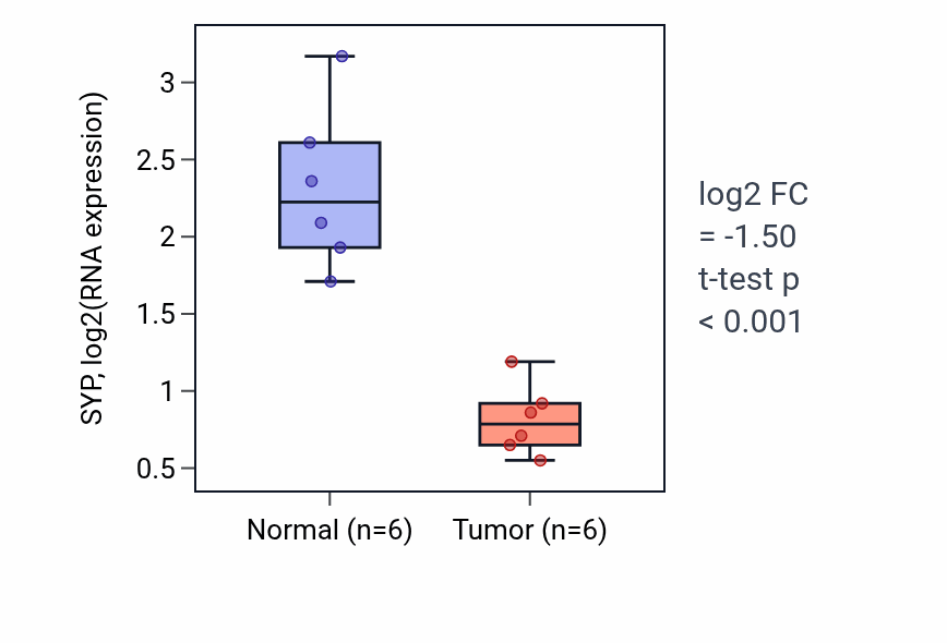 Tumor-vs-normal expression box plot for SYP RNA in KIRC.