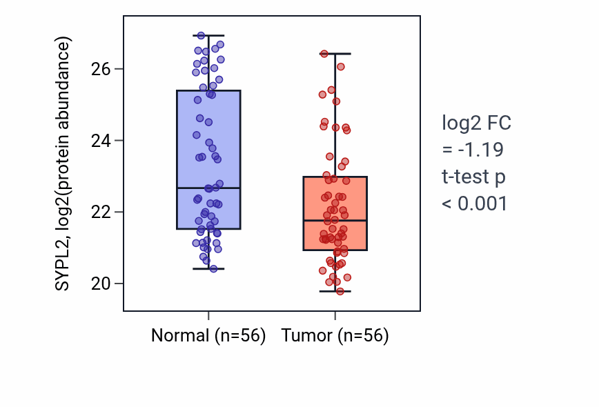 Tumor-vs-normal mass-spec protein box plot for SYPL2 in HNSC.