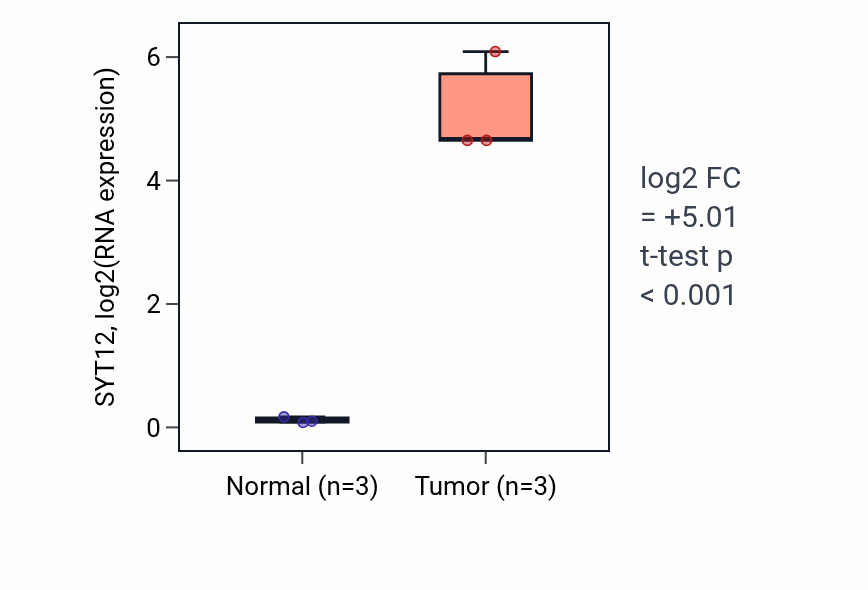 Tumor-vs-normal expression box plot for SYT12 RNA in THCA.