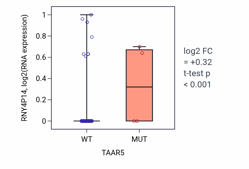 Box plot of RNY4P14 in TAAR5-low vs TAAR5-high samples in BLCA.